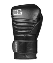 Joya Boxhandschuhe 'Silver FALCON' Leder