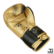 Joyagear "Evolution" Boxhandschuhe - Gold/Schwarz