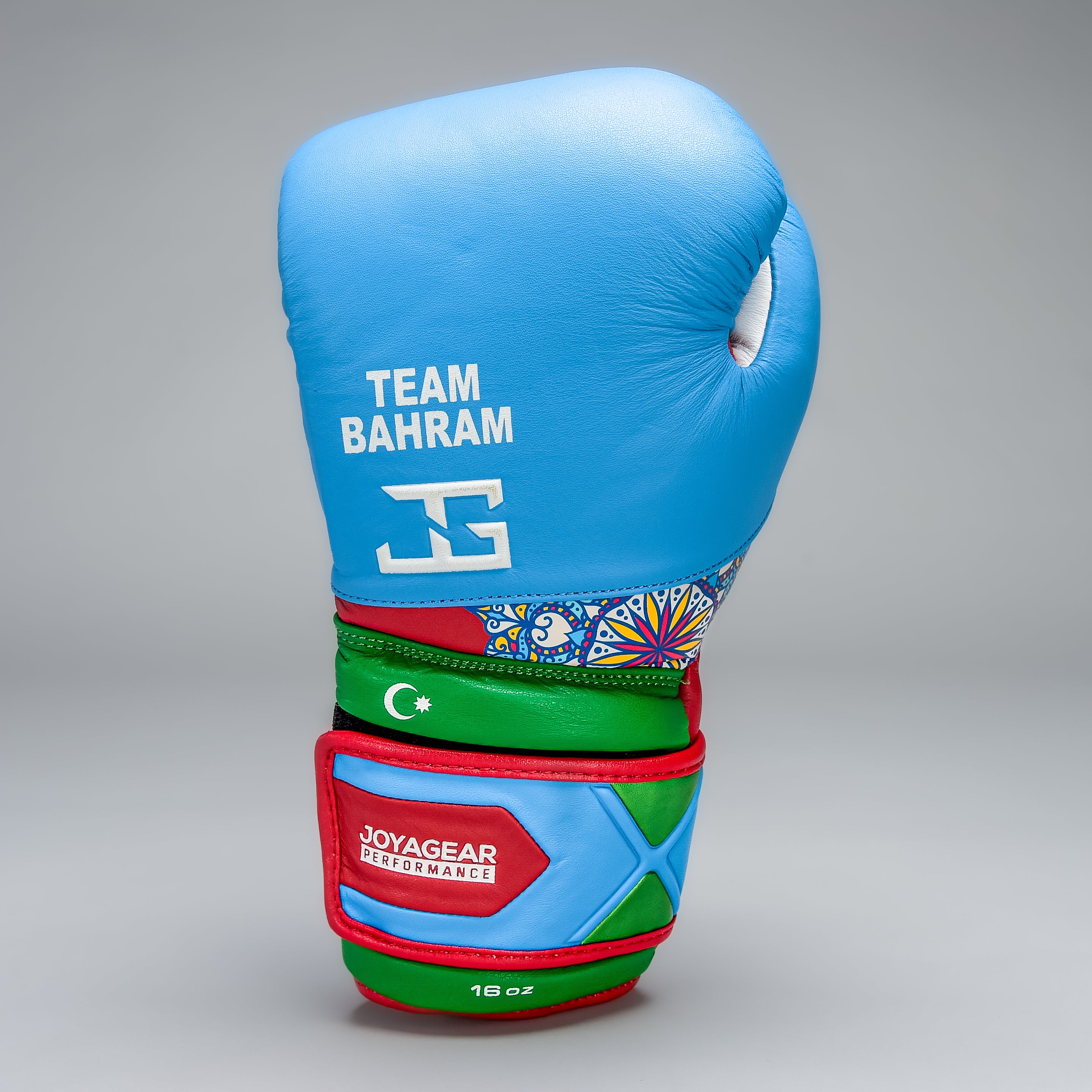 Joyagear X Bahram Rajabzadeh Performance Boxhandschuhe