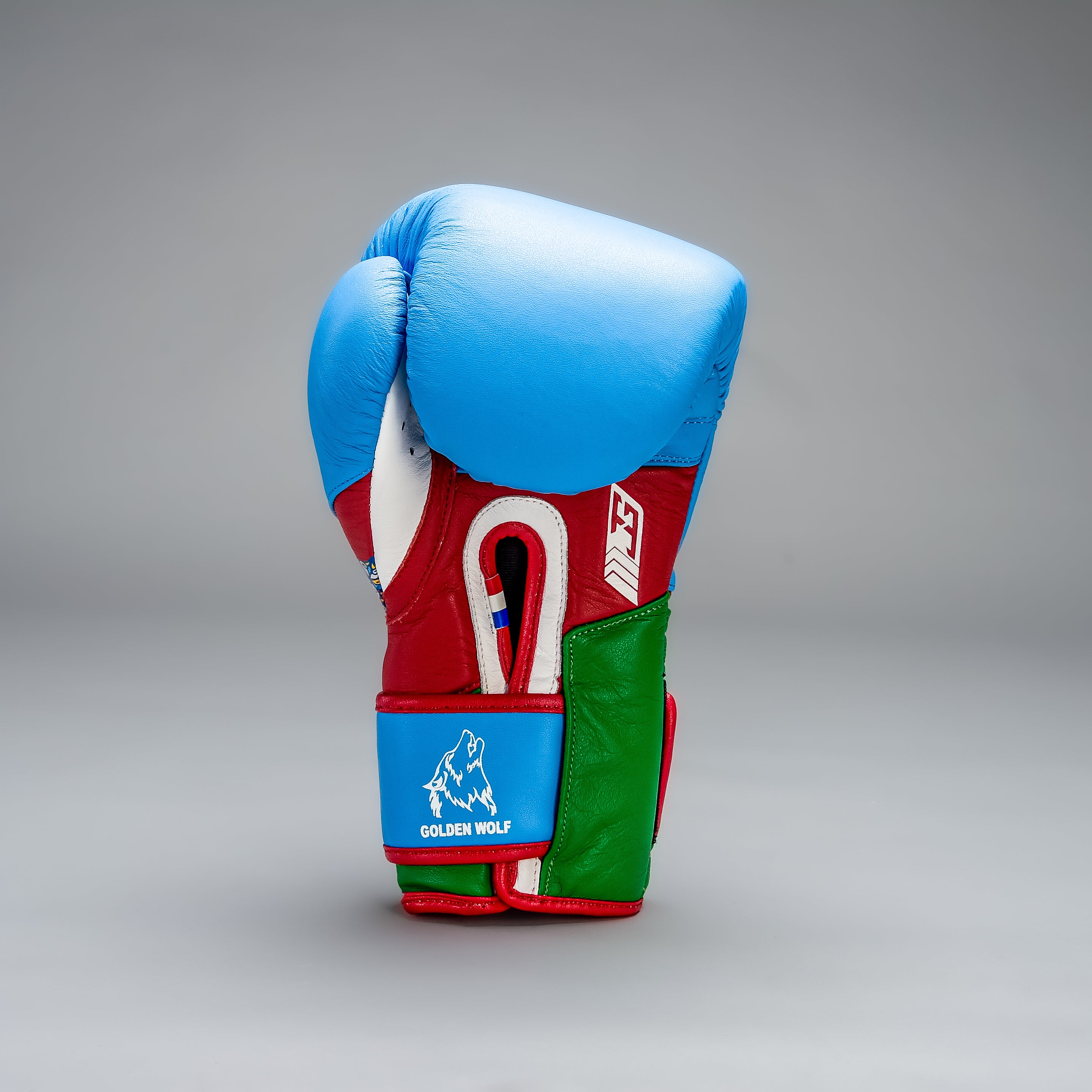 Joyagear X Bahram Rajabzadeh Performance Boxhandschuhe