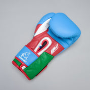 Joyagear X Bahram Rajabzadeh Performance Boxhandschuhe