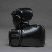 Joyagear "Evolution" Boxhandschuhe - Schwarz/Schwarz
