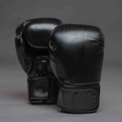 Joyagear "Evolution" Boxhandschuhe - Schwarz/Schwarz