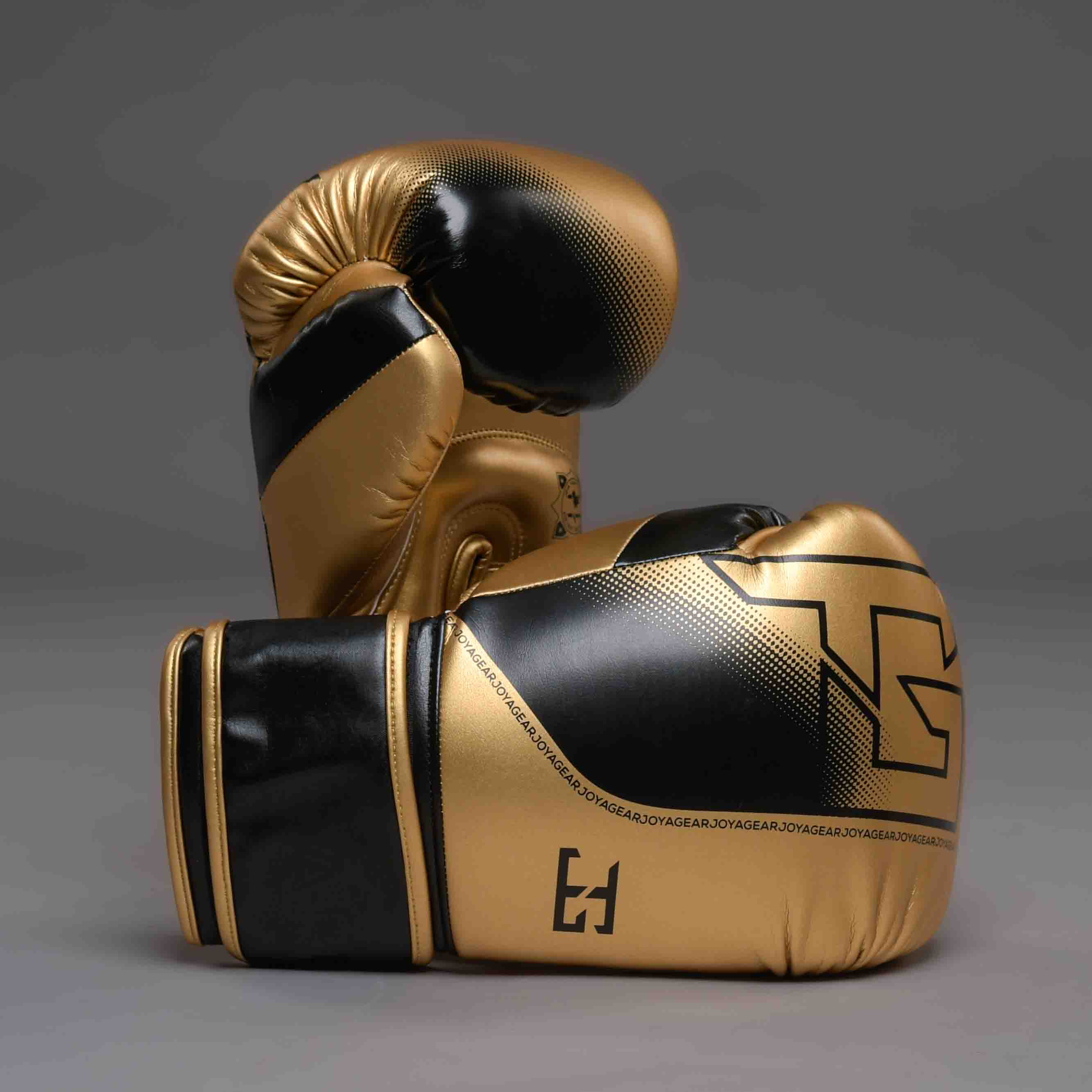 Joya2026new-7985.jpg