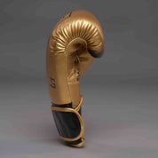 Joyagear "Evolution" Boxhandschuhe - Gold/Schwarz