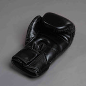 Joyagear "Evolution" Boxhandschuhe - Schwarz/Schwarz