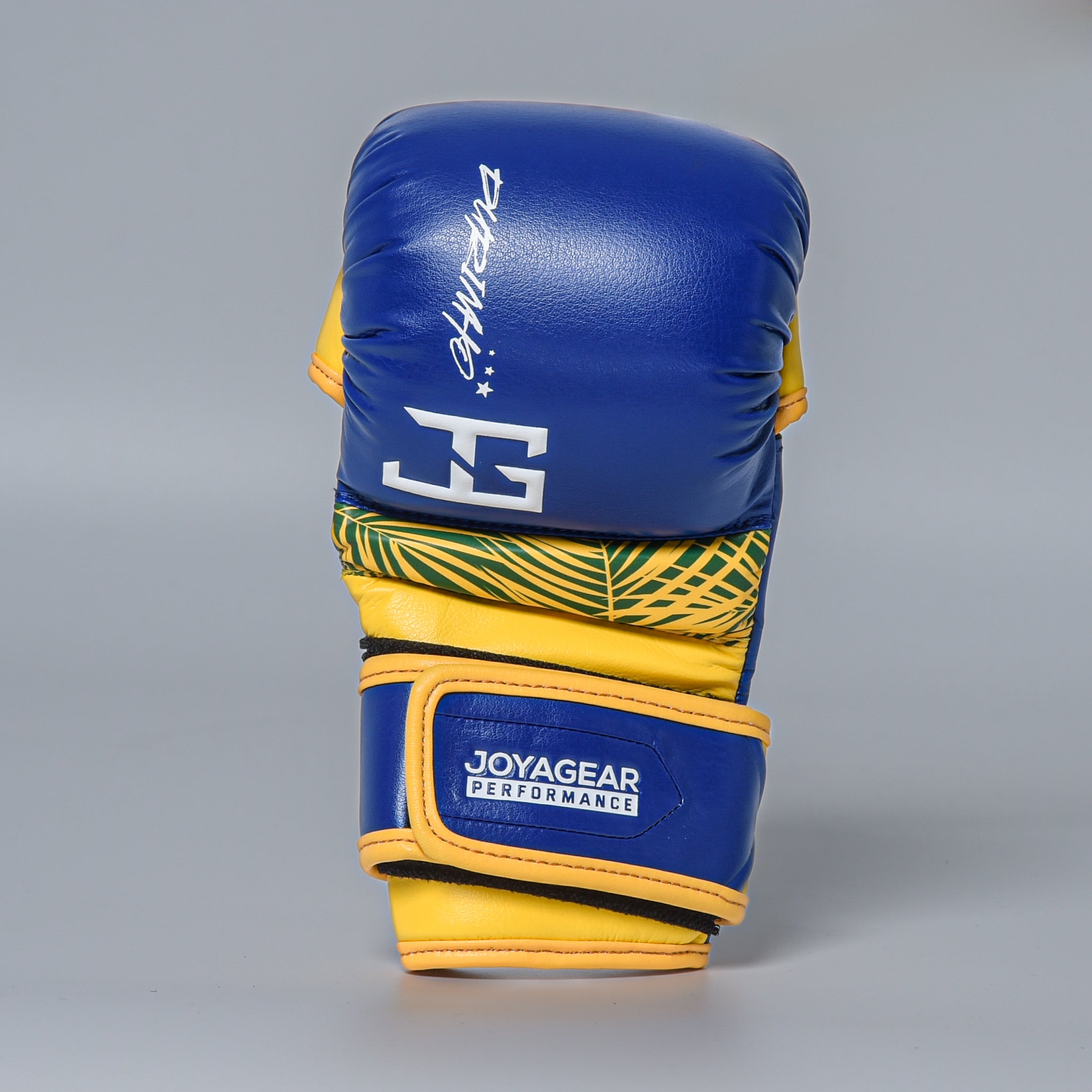 Joyagear X Burns Performance Durinho MMA Handschuhe