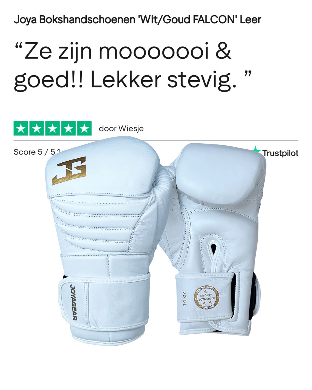 Ontwerp_zonder_titel_8_b06446db-4cd9-456b-af6a-a3a4299060c7.jpg