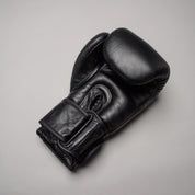 Joya Strike (Kick-)Boxhandschuhe - Schwarz/Schwarz