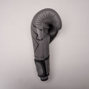 Joya Strike (Kick-)Boxhandschuhe - Grau