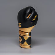 Joyagear Performance V2 Boxhandschuhe Schwarz/Gold