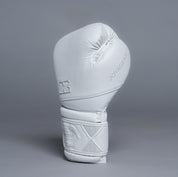 Joyagear Performance V2 Boxhandschuhe Weiß/Carbon