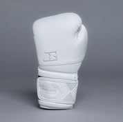 Joyagear Performance V2 Boxhandschuhe Weiß/Carbon