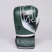 Joyagear "Evolution Pro" Boxhandschuhe - Grün/Weiß