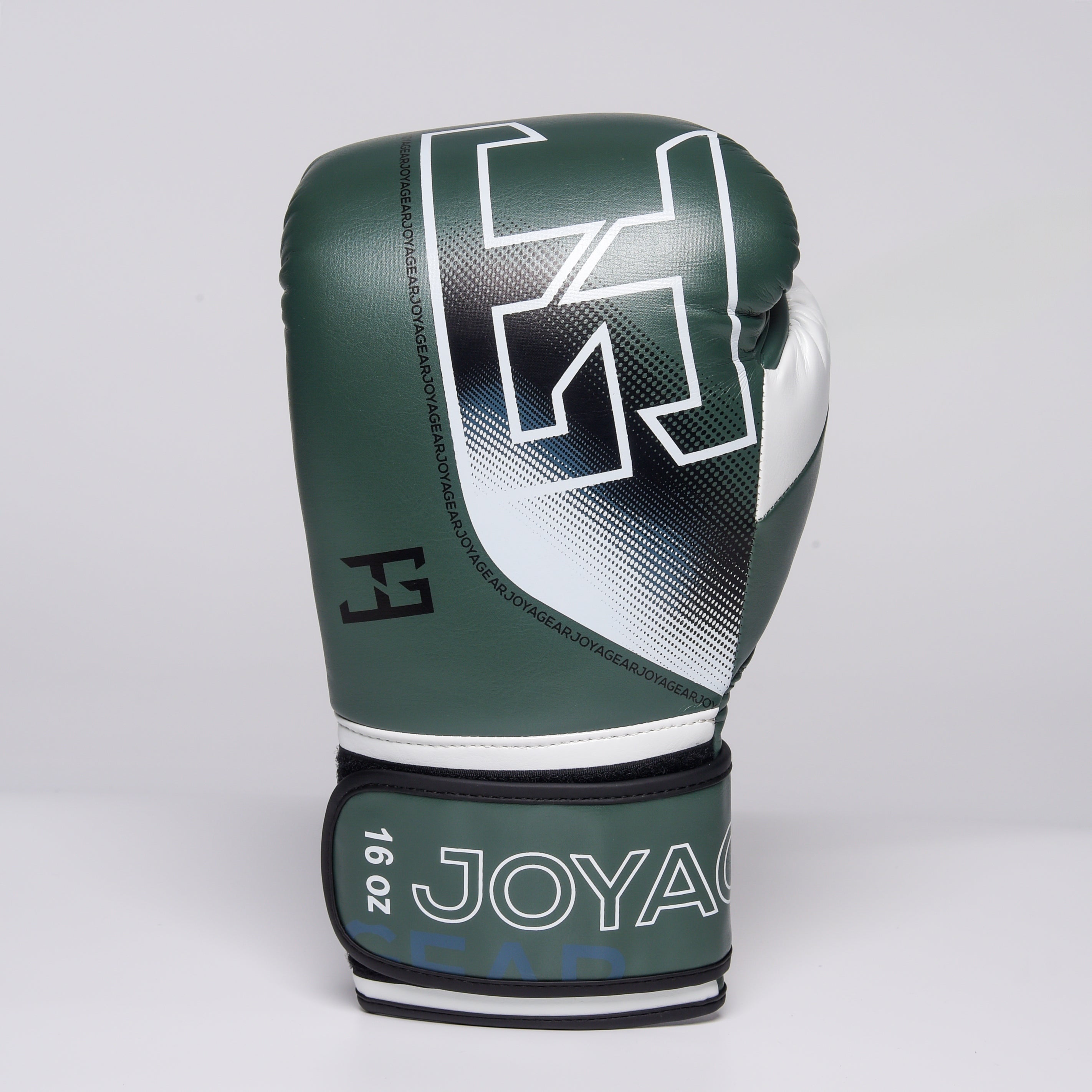 Joyagear "Evolution Pro" Boxhandschuhe - Grün/Weiß