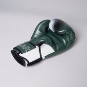 Joyagear "Evolution Pro" Boxhandschuhe - Grün/Weiß